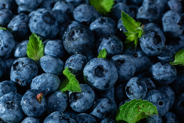 Ripe blueberries close up. Blueberry macro