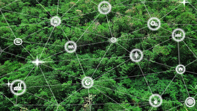 ESG concept of environmental, Green forest background with ESG icon, social and corporate governance Environmental technology, Sustainable Development Goals. Renewable resource technology