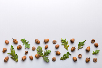 Branch with green oak tree leaves and acorns on colored background, close up top view