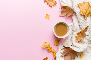 Cup of cocoa with autumn leaves abstract still life top view vith copy space