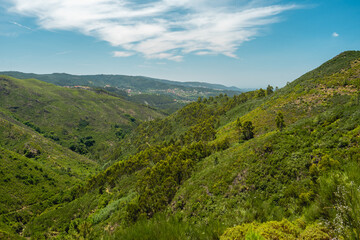 Beautiful green valley at Albergaria da Serra, Portugal.