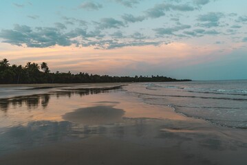 Stunning beach scene featuring an idyllic sandy shoreline lined with lush palm tree at sunset