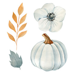 Flower, Pumpkin and leaf watercolor illustration, hand drawing, autumn set of elements on isolated white background
