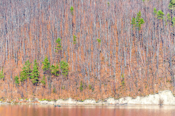 czerwone odbicie jesiennych drzew w tafli jeziora