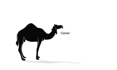 camel icon silhouette vector illustration