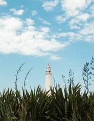 Lighthouse standing against a blue sky visible through the lush grass