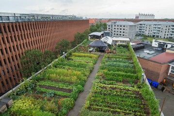 View of a lush green organic rooftop garden in Copenhagen, Denmark