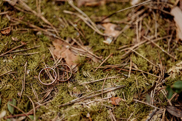 Golden wedding rings on forest ground moss background. High quality photo