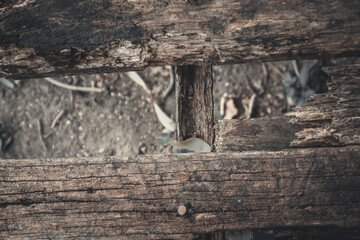 Obraz premium Old wood texture background surface with old natural pattern or old wood texture table top view. Grain surface with wood texture background. Rustic table top view with old wood texture background.