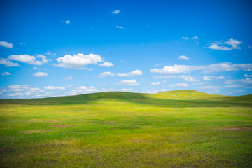 Idyllic setting of green grass and blue cloudy sky