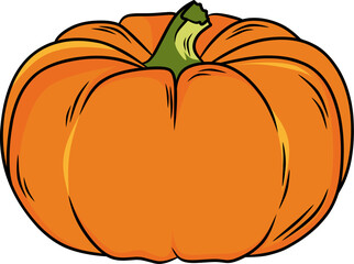 pumpkin fruit vector illustrations