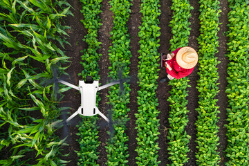 Top view of farmer standing in the field, holding remote controller and flying agricultural drone to monitor crops growth.