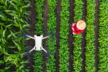 Top view of farmer standing in the field, holding remote controller and flying agricultural drone...