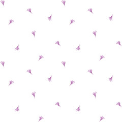 Pink lily on a white background