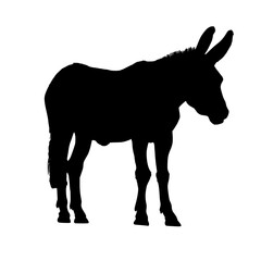 Black silhouette of a donkey isolated on white background. vector logo of a mule. black icon of a horse. vector illustration of a john.