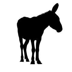 Black silhouette of a donkey isolated on white background. vector logo of a mule. black icon of a horse. vector illustration of a john.
