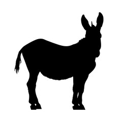Black silhouette of a donkey isolated on white background. vector logo of a mule. black icon of a horse. vector illustration of a john.