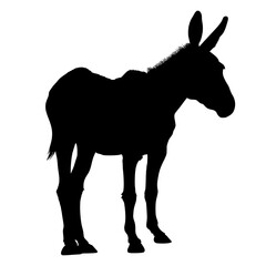 Black silhouette of a donkey isolated on white background. vector logo of a mule. black icon of a horse. vector illustration of a john.