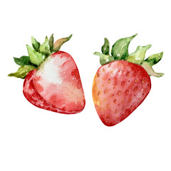 Watercolor bright red strawberry, berry