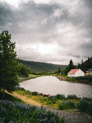 Idyllic scene of a tranquil river surrounded by lush green grass and trees in Seydysfjordur, Iceland