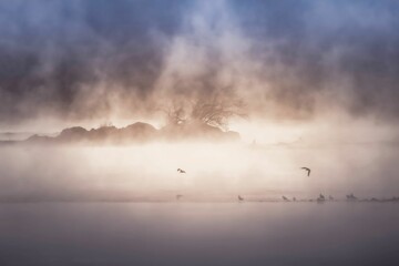 Fototapeta premium Picturesque scene of the foggy Susquehanna River on a tranquil morning