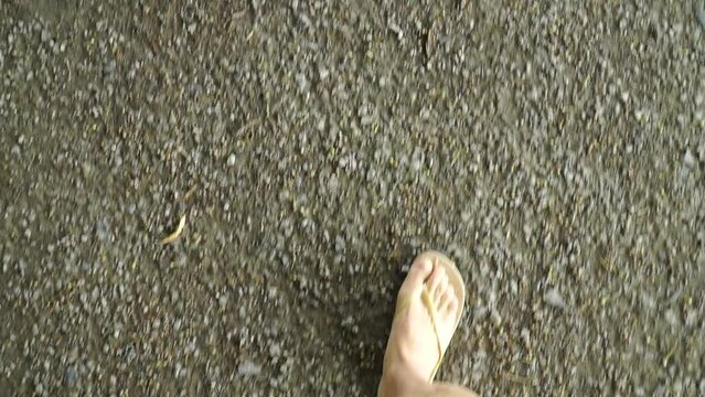 Women's legs in summer flip-flops walk along an asphalt path in the park