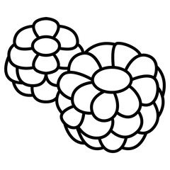 Raspberry icon