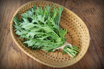 The background of green leaves of japanese mustard mizuna