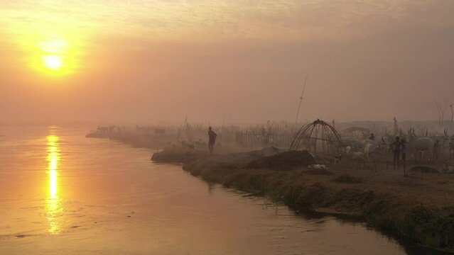 Aerial view of long horns cows in a Mundari camp Terekeka South Sudan