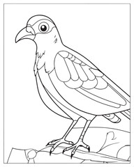 Cute Birds Coloring Pages for kids, Bird Coloring Pages, Bird Vector, Bird illustration, Black and white