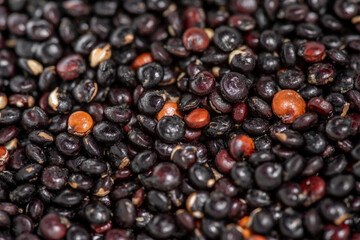 Seeds black quinoa, close-up. Top view and selective focus. Healthy diet.