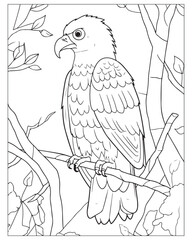 Cute Birds Coloring Pages for kids, Bird Coloring Pages, Bird Vector, Bird illustration, Black and white