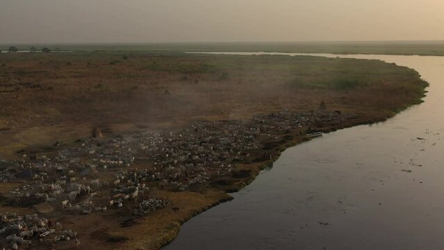 Aerial view of long horns cows in a Mundari camp Terekeka South Sudan