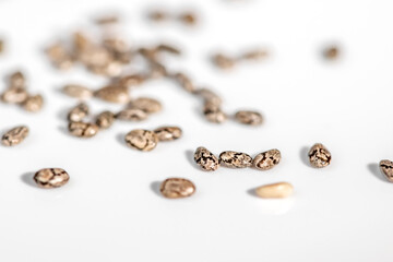 Pile of chia seeds macro shot and top view.