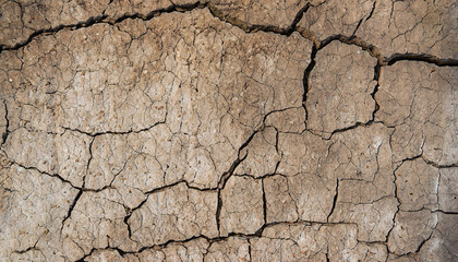 Textura de desierto árido con grietas profundas