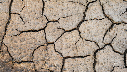 Textura de desierto árido con grietas profundas	