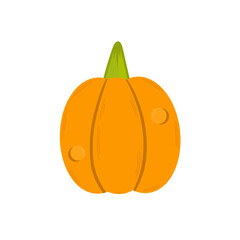 pumpkin isolated on white background
