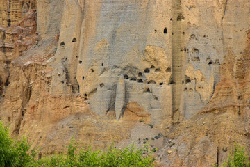 Vegetation and Flowers alongside Desert of Upper Mustang with Man Made Caves in Chhusang Village, Nepal