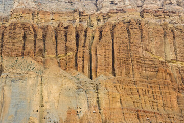 Vegetation and Flowers alongside Desert of Upper Mustang with Man Made Caves in Chhusang Village, Nepal