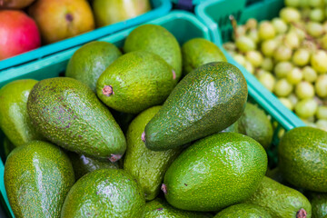 Abundance of Fresh Green Produce at Market. Avocado, Fruit, and Vegetable