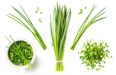 fresh green herbs: chives in a bunch, blades, chopped loose pieces, in a heap and a bowl, isolated cooking, nutrition / diet, farm or garden design elements, set / collection, cut-out transparent PNG