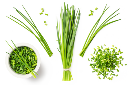 fresh green herbs: chives in a bunch, blades, chopped loose pieces, in a heap and a bowl, isolated cooking, nutrition / diet, farm or garden design elements, set / collection, cut-out transparent PNG