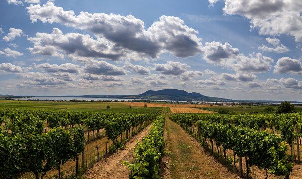 Beautiful landscape with dramatic Palava sky. Lake Musov. Vineyards and harvested grain fields.