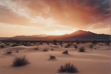 Naklejka premium sunset in the desert