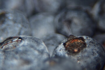 Close up of juicy, tasty blueberries. Extreme close up of fruit texture background.