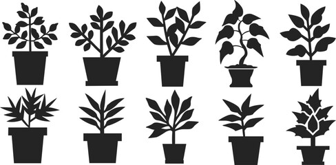 Black and white potted plant icons set. Set of potted plant silhouettes. Plants in pots. Potted plant vectors.