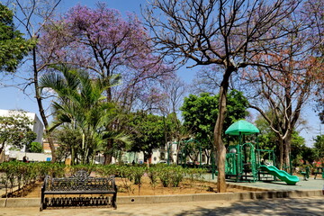 Jardin public. Mexique.