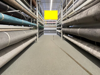 Carpet store. Carpets rolled up. Large assortment of carpets.