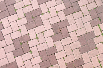 a brick walkway with grass growing on it
