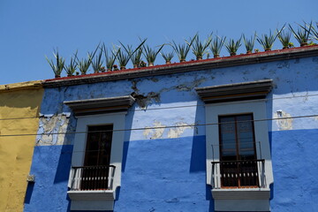 Façade de maison bleue à deux tons avec plantes sur le toit. Mexique.